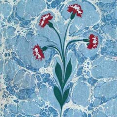 Çinli Öğrencilerin Ebru Sevgisi