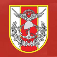 Orduda Ergenekon gözaltıları