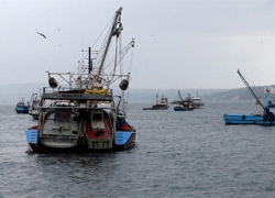 Kaçak Avlanan Yandı