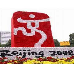 Türk sporcular Pekin'den ayrıldı