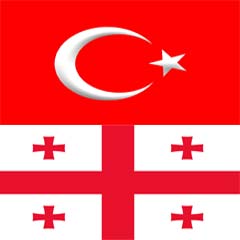Gürcistan'dan askeri iş birliği açıklaması