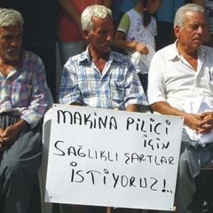 Tavukta kullanılan antibiyotiğe dikkat