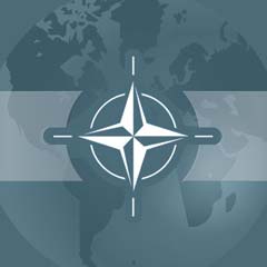 Gürcistan'ı NATO mu teşvik etti?