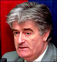 Karadzic bu suçlardan yargılanacak