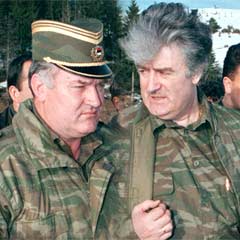 'Mladic bu yolla yakalanabilir'