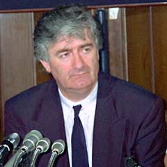 Türkiye'den 'Karadzic' açıklaması