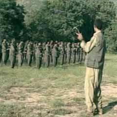 'PKK Almanları mecburen bıraktı'