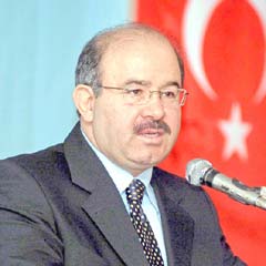 Çelik'ten af müjdesi