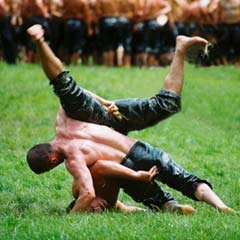 Ahmet Taşçı başpehlivanlık turunda elendi