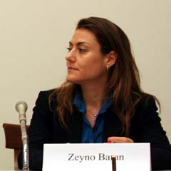AK Parti, Zeyno Baran'a ateş püskürdü