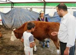 Iğdır'da silahlı saldırı