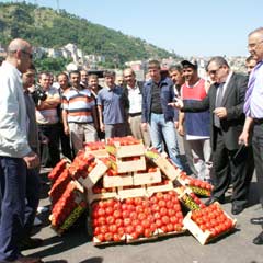 Tüketici Ramazan’da domatesi ucuza alacak