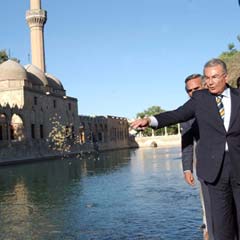 Sav neye el açtı?