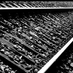 Fransa'da okul servisine tren çarptı: 5 ölü