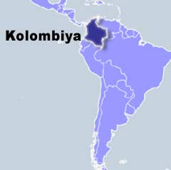 Kolombiya'da toprak kayması: 19 ölü