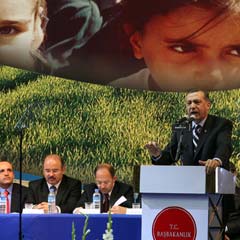 GAP'ta umutlar yeniden yeşerdi