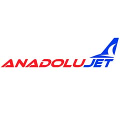 Anadolujet, THY'ye 'yaradı'