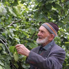 Fındık üreticisinin korkusu