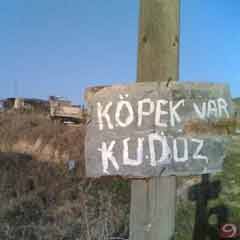 Tunceli'de kuduz karantinası