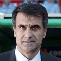 Şenol Güneş: Gruptan çıkarsa Milli Takım'ın önü açık