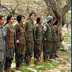Amanoslarda 1 PKK'lı kıskıvrak yakalandı