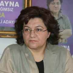 DTP’de Ayna’nın başkanlığı istenmiyor mu?
