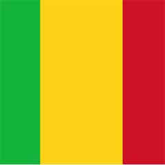Mali'de çatışma: 5 ölü