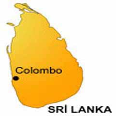 Sri Lanka'da şiddetli çatışmalar: 73 ölü