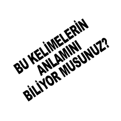 Bu kelimelerin anlamını biliyor musunuz?