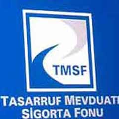 TMSF, Çıldırım tesislerini satıyor