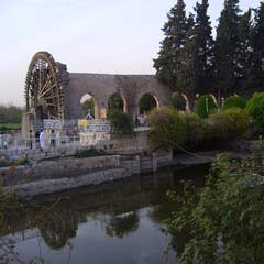 Hama'nın dertli dolapları