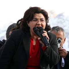 DTP'li Ayna: ''Yerel inisiyatif artırılmalı''