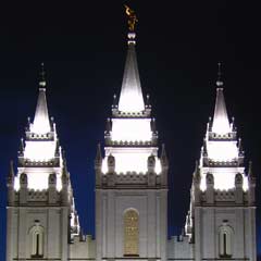 Mormon operasyonunda 534 kadın ve çocuk serbest
