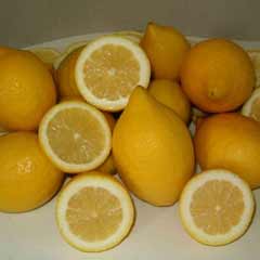 Mart ayı zam şampiyonu limon