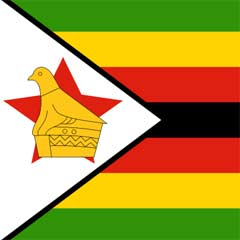 Zimbabve'de seçimden sonuç çıkmadı
