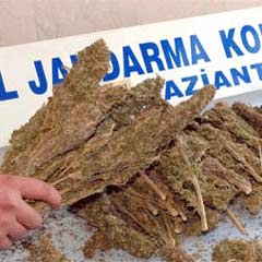 Havaalanında 20,7 kilo kokain ele geçirildi