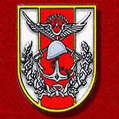 TSK'ya sürpriz destek
