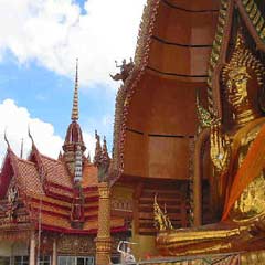 Tayland'da senato seçimleri yapıldı