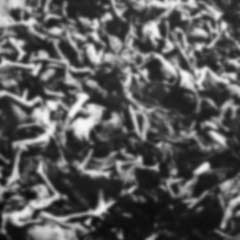 'Filistinlilere holokost uygularız'