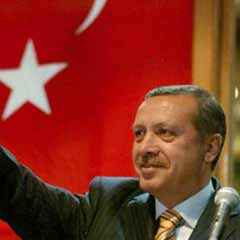 Erdoğan'a Türk nişanı