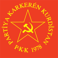 Çin radyosu PKK'ya 'terörist' dedi