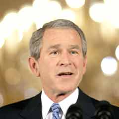 Bush havaya girdi