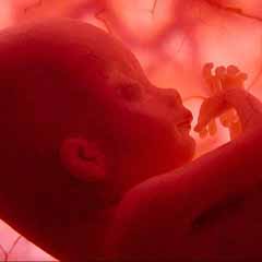 Anne karnında topuktan vuruldu (MİZAH)
