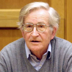 Chomsky habervaktim'e değerlendirdi