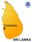 Sri Lanka'da çatışma:41 ölü