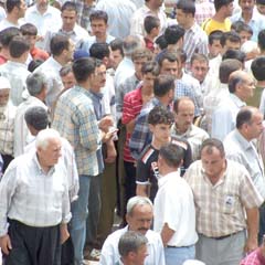 Hiçbir sorun 'İslam'sız çözülemez