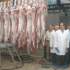 Kurban eti tavuk etini yarıya düşürdü