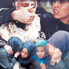 2008 özgürlük yılı olsun