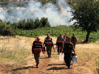 PKKnın uyuşturucu tarlaları imha edildi