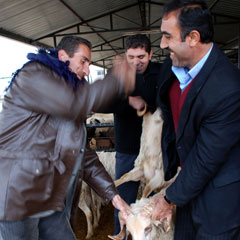 Kurban Bayramı'nın faturası